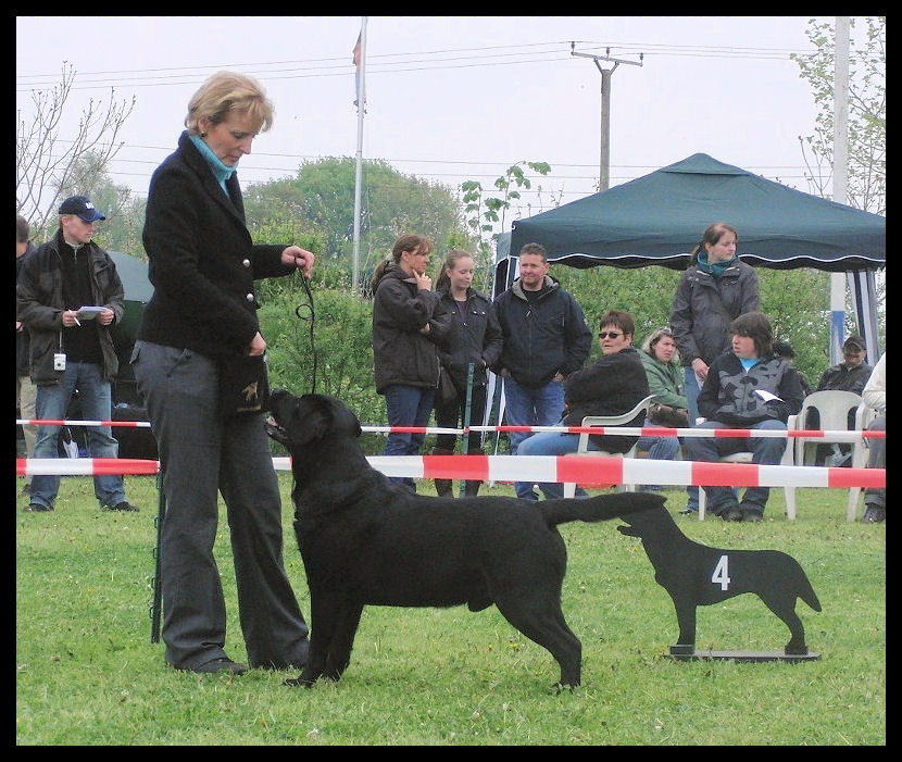 Schau Alpen 2010