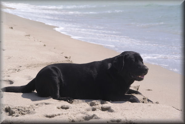 Am Strand